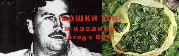 спайс Арсеньев