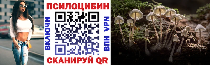 магазин продажи   Уварово  Галлюциногенные грибы Cubensis 